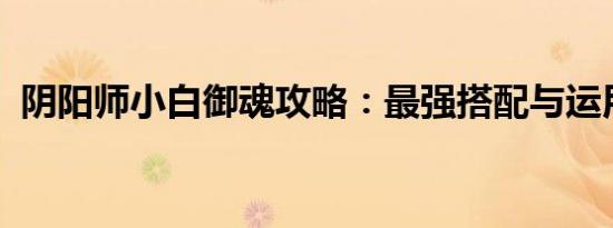 阴阳师小白御魂攻略：最强搭配与运用策略