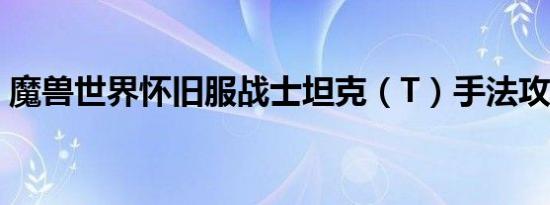 魔兽世界怀旧服战士坦克（T）手法攻略详解