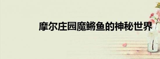 摩尔庄园魔鳉鱼的神秘世界