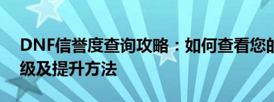 DNF信誉度查询攻略：如何查看您的信誉等级及提升方法