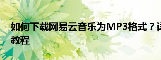 如何下载网易云音乐为MP3格式？详细步骤教程