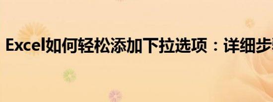 Excel如何轻松添加下拉选项：详细步骤教程