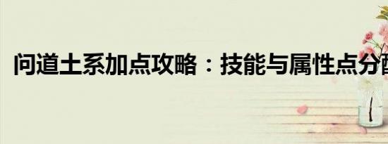 问道土系加点攻略：技能与属性点分配指南