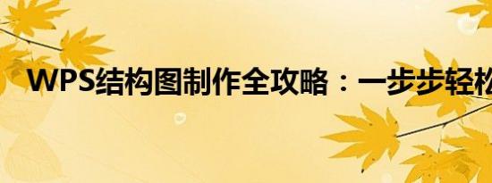 WPS结构图制作全攻略：一步步轻松搞定
