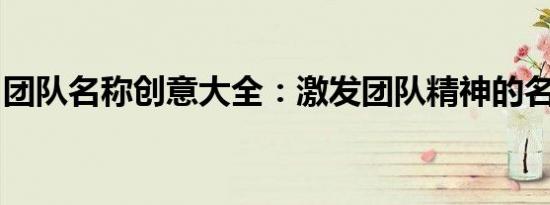 团队名称创意大全：激发团队精神的名称灵感