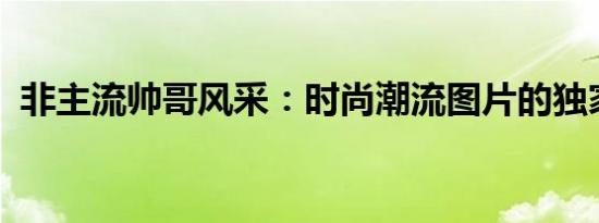 非主流帅哥风采：时尚潮流图片的独家集结