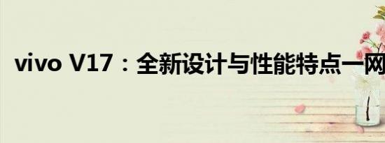vivo V17：全新设计与性能特点一网打尽！