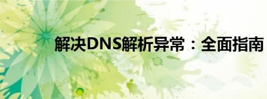 解决DNS解析异常：全面指南