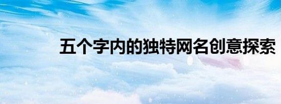 五个字内的独特网名创意探索