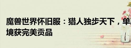 魔兽世界怀旧服：猎人独步天下，单刷厄运秘境获完美贡品