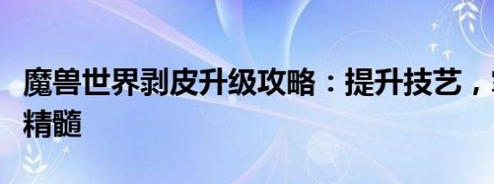 魔兽世界剥皮升级攻略：提升技艺，掌握游戏精髓