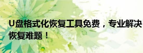 U盘格式化恢复工具免费，专业解决U盘数据恢复难题！