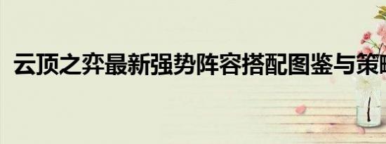 云顶之弈最新强势阵容搭配图鉴与策略解析