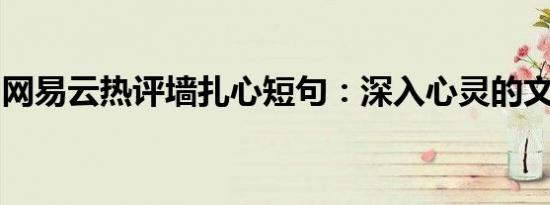 网易云热评墙扎心短句：深入心灵的文字剖析