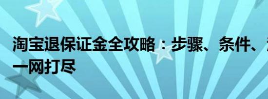 淘宝退保证金全攻略：步骤、条件、注意事项一网打尽