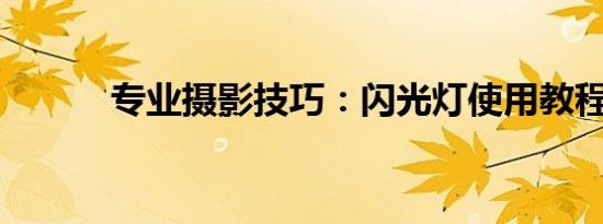 专业摄影技巧：闪光灯使用教程