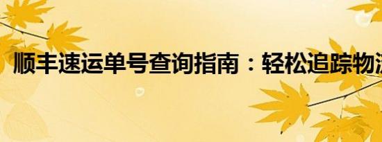 顺丰速运单号查询指南：轻松追踪物流状态