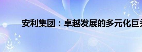 安利集团：卓越发展的多元化巨头