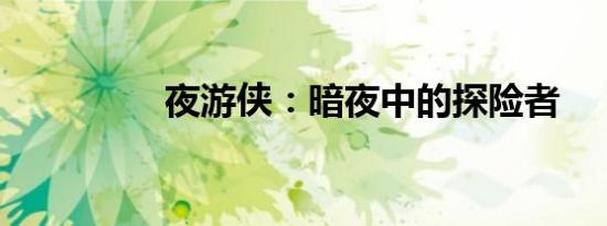 夜游侠：暗夜中的探险者