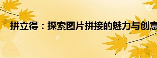 拼立得：探索图片拼接的魅力与创意无限