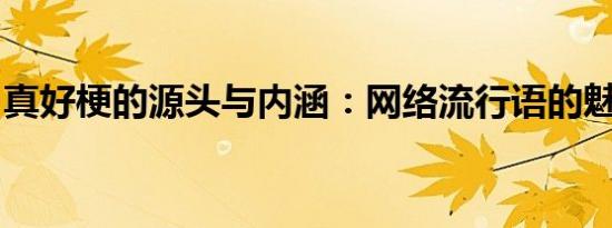 真好梗的源头与内涵：网络流行语的魅力解析