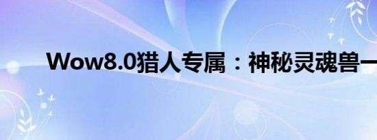 Wow8.0猎人专属：神秘灵魂兽一览