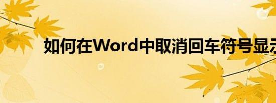 如何在Word中取消回车符号显示