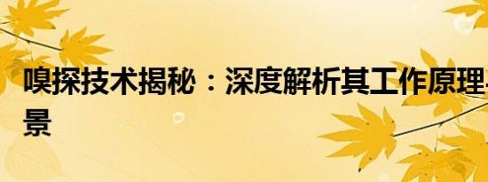 嗅探技术揭秘：深度解析其工作原理与应用场景