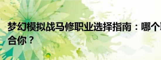 梦幻模拟战马修职业选择指南：哪个职业最适合你？