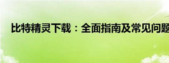 比特精灵下载：全面指南及常见问题解答