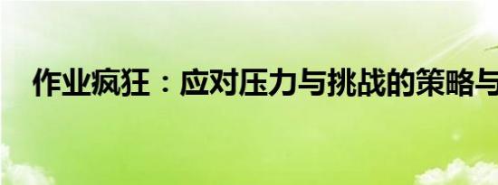 作业疯狂：应对压力与挑战的策略与技巧