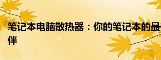 笔记本电脑散热器：你的笔记本的最佳冷却伙伴