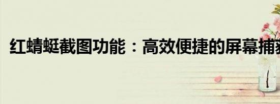 红蜻蜓截图功能：高效便捷的屏幕捕获体验