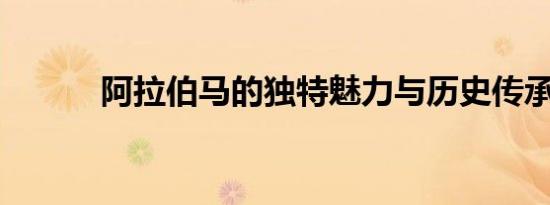 阿拉伯马的独特魅力与历史传承