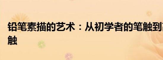 铅笔素描的艺术：从初学者的笔触到高手的笔触