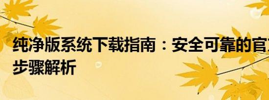 纯净版系统下载指南：安全可靠的官方源头及步骤解析