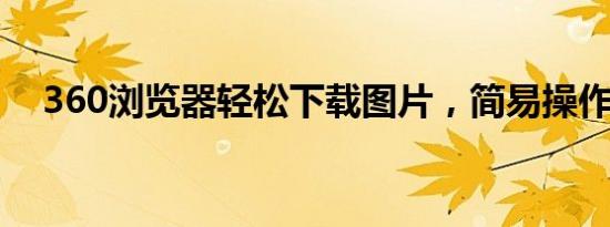 360浏览器轻松下载图片，简易操作指南