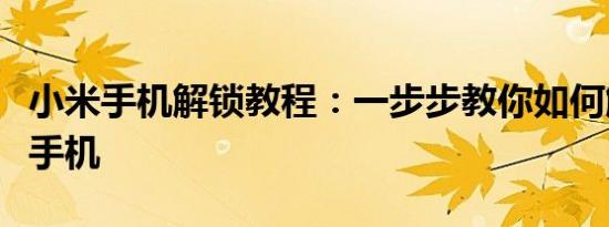 小米手机解锁教程：一步步教你如何解锁小米手机