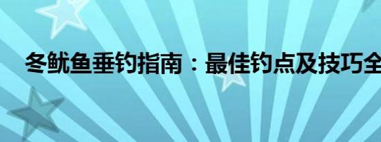 冬鱿鱼垂钓指南：最佳钓点及技巧全解析