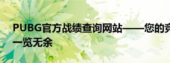 PUBG官方战绩查询网站——您的竞技成就一览无余