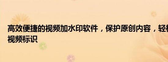 高效便捷的视频加水印软件，保护原创内容，轻松打造专属视频标识