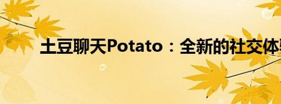 土豆聊天Potato：全新的社交体验