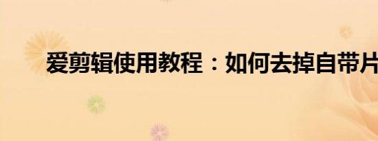 爱剪辑使用教程：如何去掉自带片头