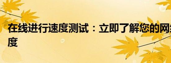 在线进行速度测试：立即了解您的网络连接速度