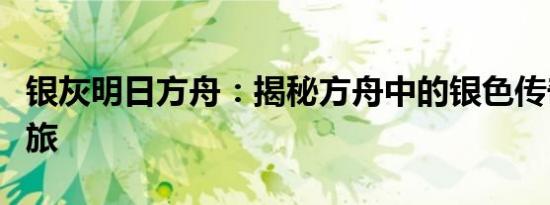 银灰明日方舟：揭秘方舟中的银色传奇英雄之旅