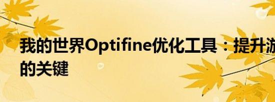 我的世界Optifine优化工具：提升游戏体验的关键