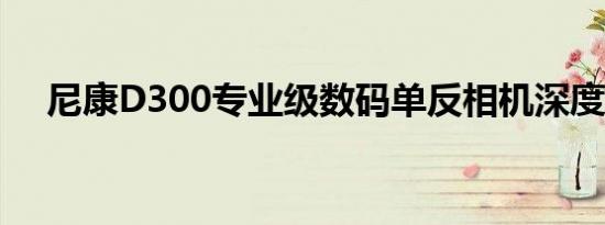 尼康D300专业级数码单反相机深度评测