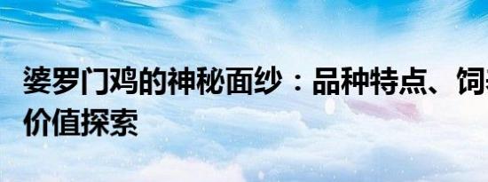 婆罗门鸡的神秘面纱：品种特点、饲养方法与价值探索