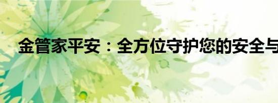 金管家平安：全方位守护您的安全与幸福
