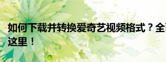 如何下载并转换爱奇艺视频格式？全面指南在这里！